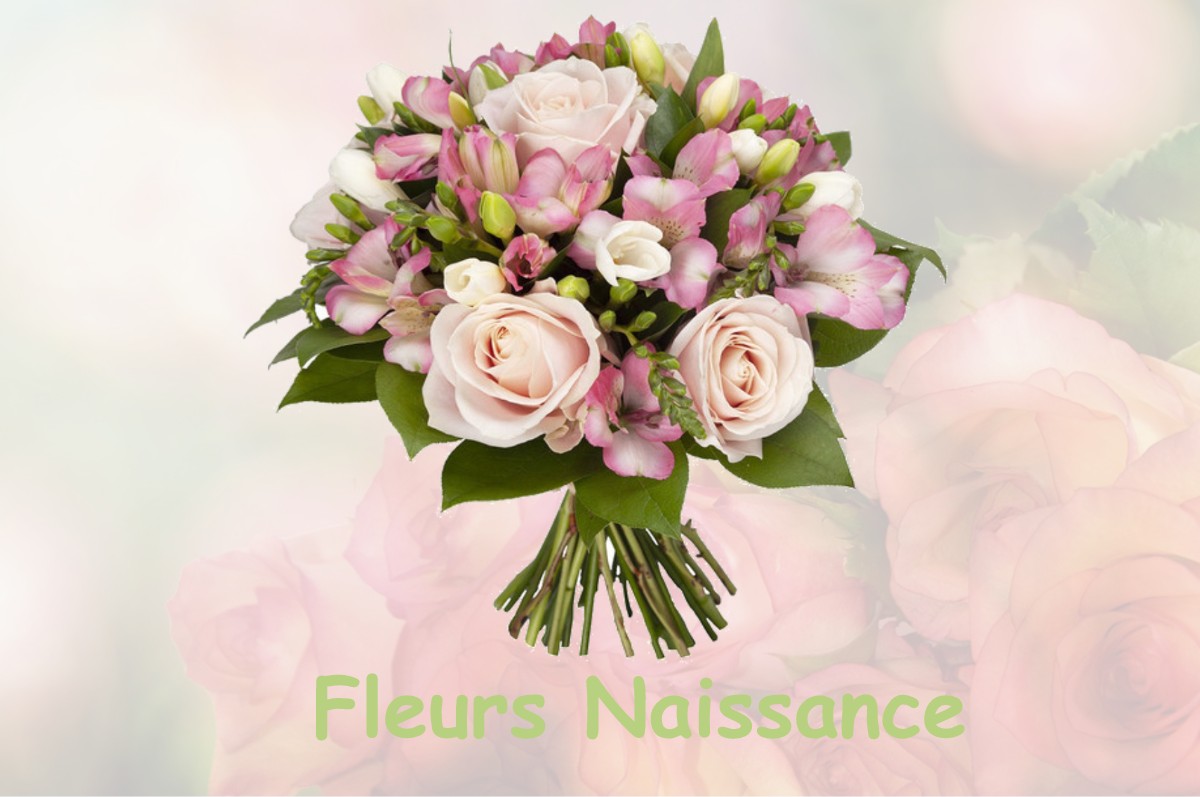 fleurs naissance BONNEUIL-EN-FRANCE